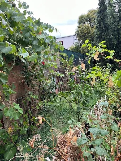 Apartament Friendly Dogs House Tirana