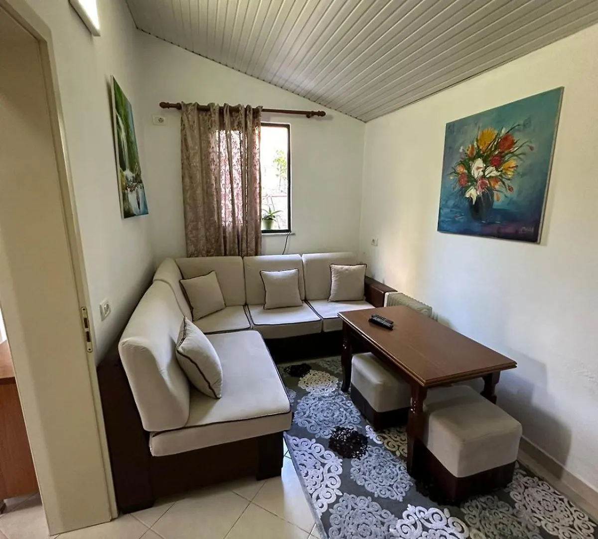 Apartament Friendly Dogs House Tirana